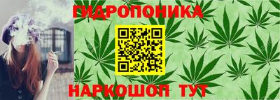 apvp Коммунар