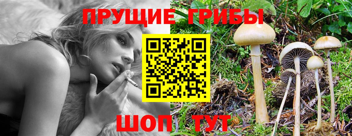 Кирово-Чепецк  Псилоцибиновые грибы Magic Shrooms  Вход с VPN 