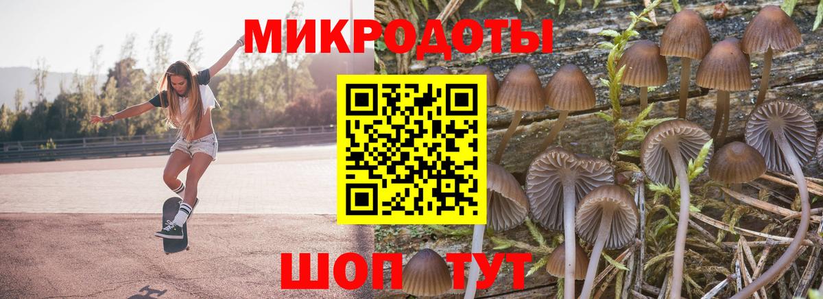 Псилоцибиновые грибы MAGIC MUSHROOMS Кирово-Чепецк